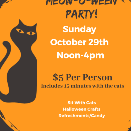 Copy of Copy of Copy of Orange Black Cat Halloween Party Invitation (Blog Graphic) (Presentation (169))